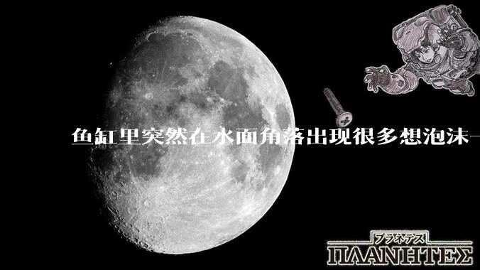 鱼缸里突然在水面角落出现很多想泡沫一样的气泡是怎么回事？